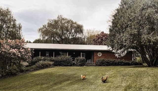 The Hilltop Homestead