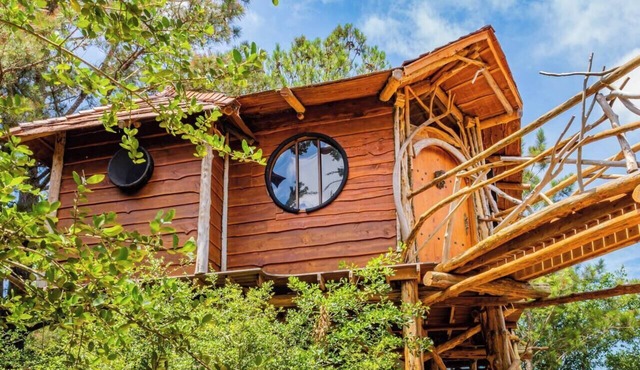 The Hobbit's Nest, A Magical Dog-friendly Treehouse in the Lost Pines Shire