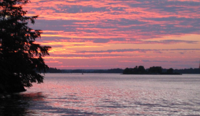 The Holiday House: In the Middle of it All!