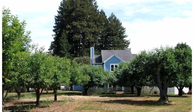 "The Hollies" Wine Country Victorian Farmhouse