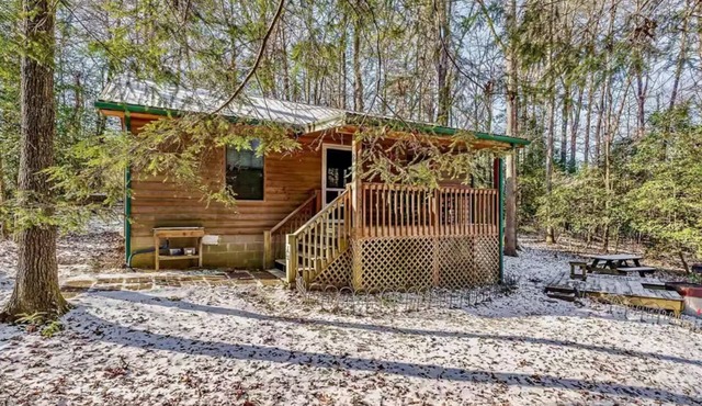 The Holly Cabin near Fall Creek Falls