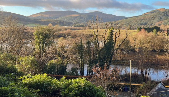 The Holly Tree Cottage