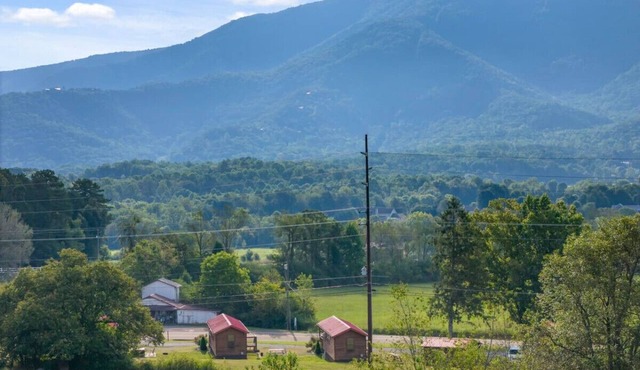 The home place~Tiny Home