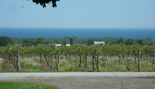 The Home Stead House at Arwen Farms