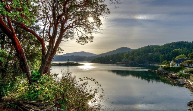The Homestead on the Shore - New Hot Tub!
