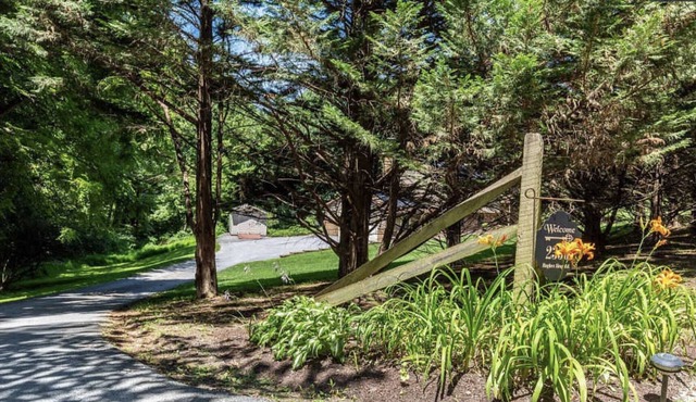 The Honey Spa - a relaxing, sweet retreat in the country. Saunas and more!