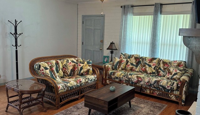 The Hontoon River House