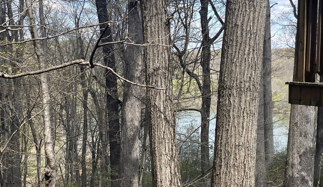 The Hoosier Lake House
