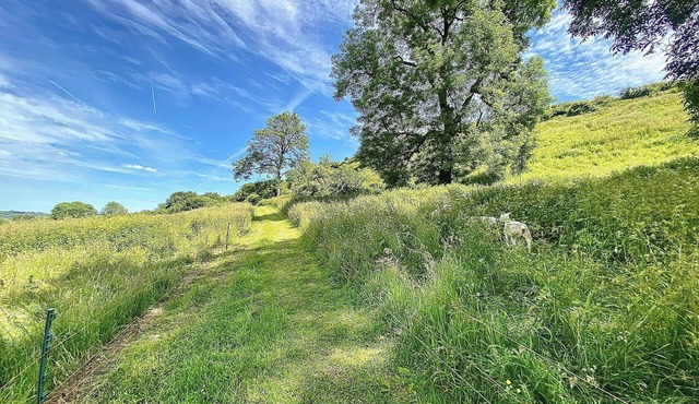 The Horse Cart - UK39547