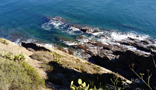 The house of the pickers