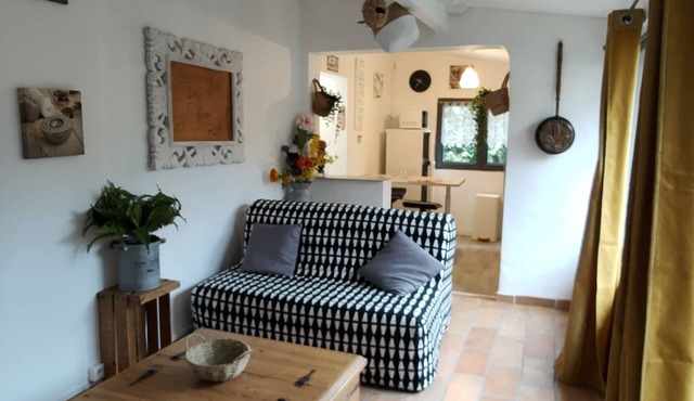 The house around the fig tree