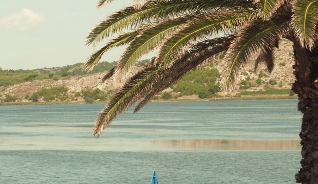 The house by the pond
