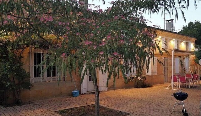 The House in the Vineyards