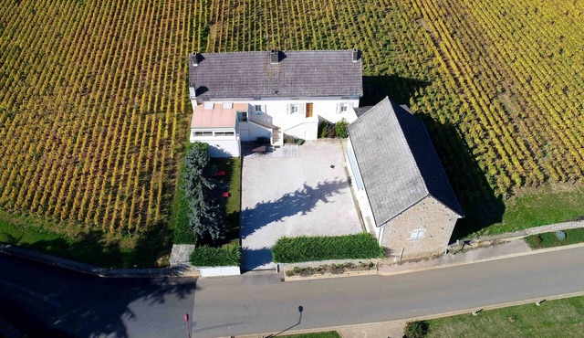 The house Montrachet - house in the heart of the vineyards in Chassagne-Montrachet
