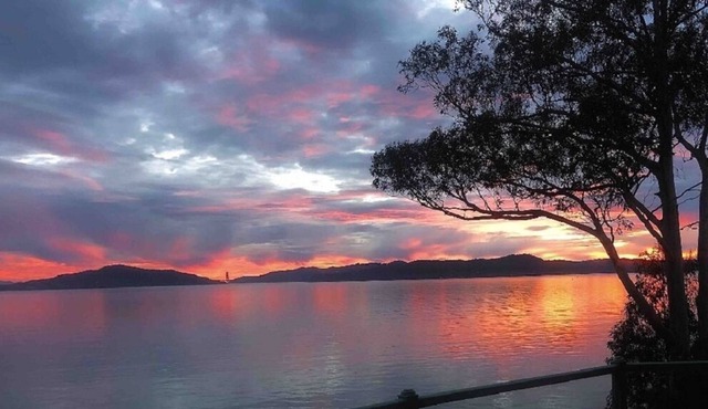 The House Of 12 Palms