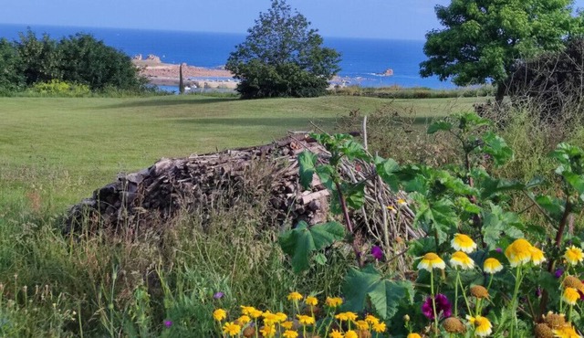 The House of happiness