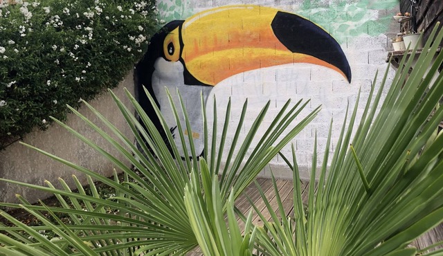 The house of the Toucan - homestays