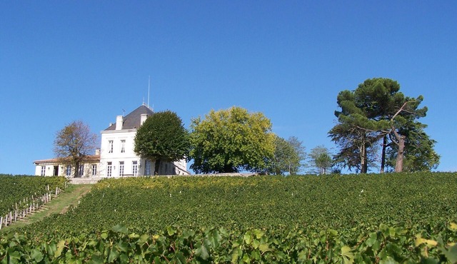 The House of Tournefeuille! Marvellous!