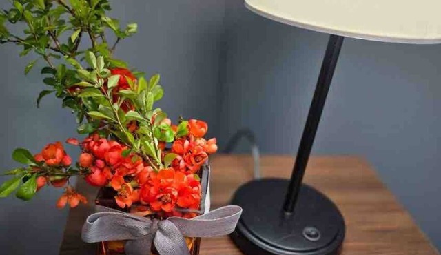 The House on Park Avenue-minutes to music venues Laurel Cove and Bell Theater!