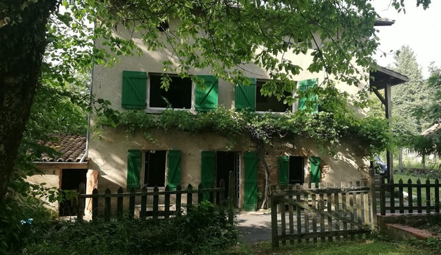 The house with the green shutters