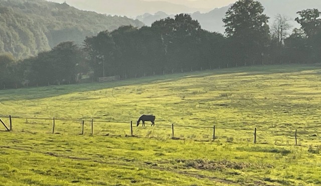 The houses on the hill