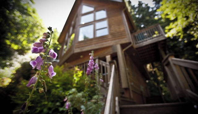 The Huckleberry Chalet, a private Mt. Hood retreat within a forested wonderland