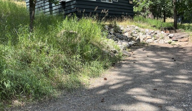 The Hugo Cabin