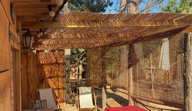 The Hut of Happiness