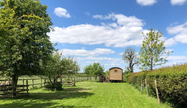 THE HUT, pet friendly, character holiday cottage in Market Bosworth