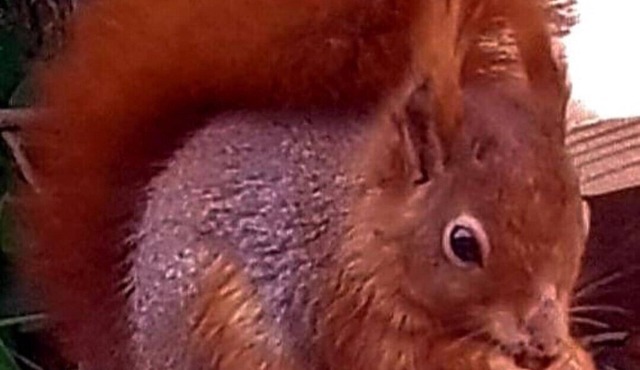 The ideal quiet retreat and a good base for all walking and activity amenities