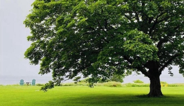 The Idle Hour: Heritage. Place. Belonging.