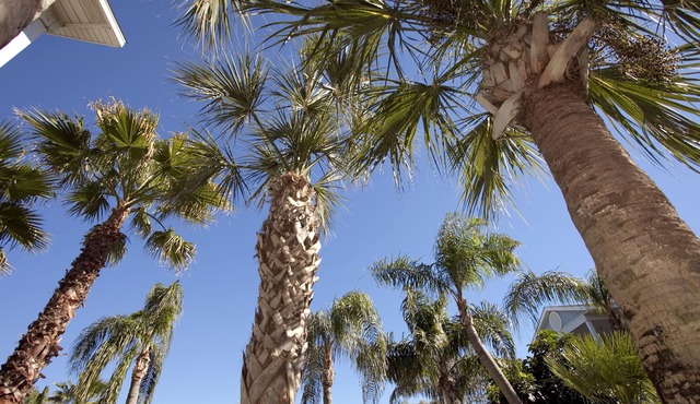 The Inn at Fulton Harbor