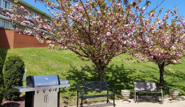 The Inn at Mountainview