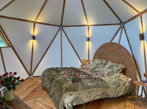 The Island of Xanadu