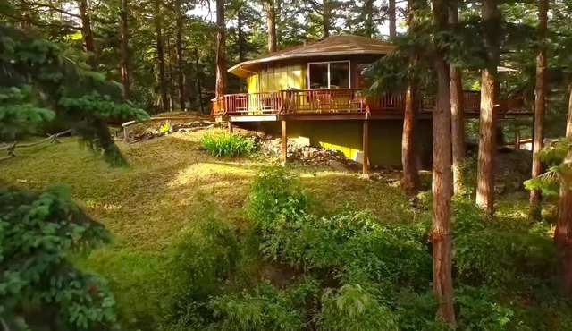 The Island Treehouse