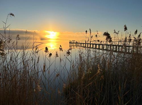 The Jetty House - Lake Bonney Riverland