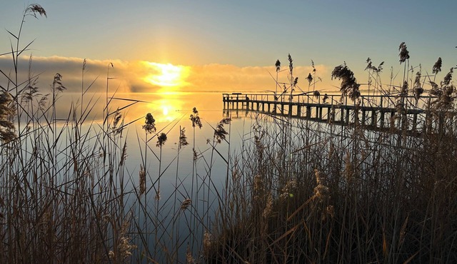 The Jetty House - Water Front Stay Lake Bonney Riverland