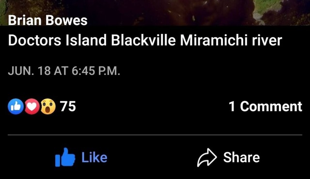 The Joe DiMaggio 3 bedroom 2 bathroom cottage on private 11 acre Island