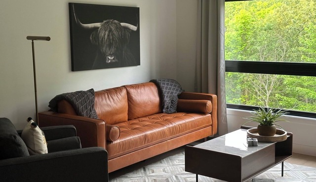 The JOFORD, Condo, 5 minutes from skiing, Sépaq with extras (bikes, paddles +)