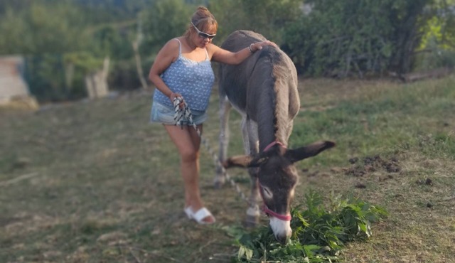 The joy of skiing in Lozère!