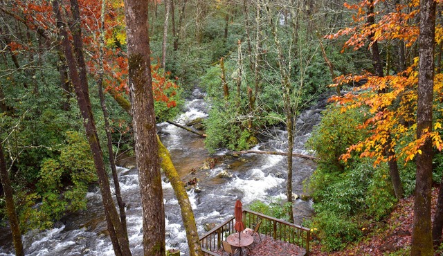 The Junction-backwoods tiny home on brook trout stream with mountain ridge view