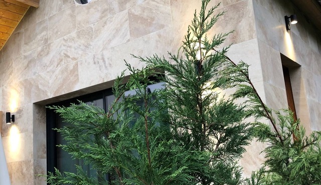 The Jungle Spa : Tiny House & SPA (Jacuzzi/Sauna 100% privés)