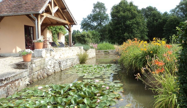 The kingfisher, approved Valeurs Regional Natural Park lodge