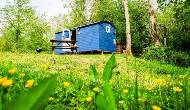 The Kingfisher Shepherd's Hut