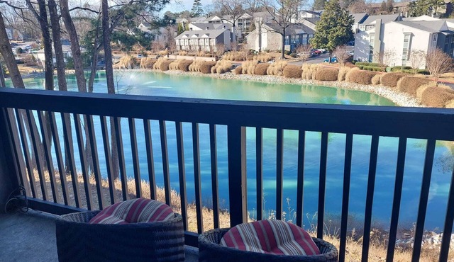 The Lake view by the Truist Park