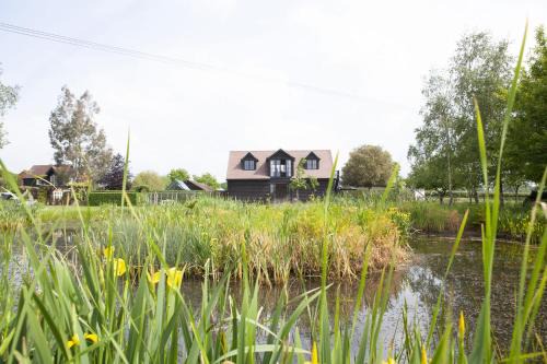 The Lakehouse Apartment by inspirestays-com