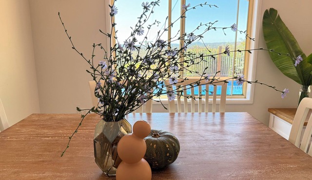 The Lakehouse Brisbane Earth Home with Resident Koala, Peacocks & private lake