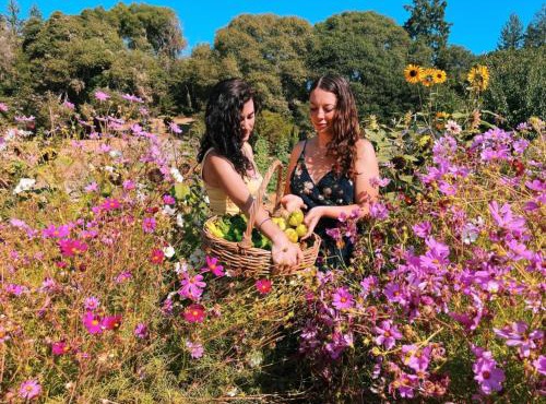 The Land - Luxury Retreat Center In Beautiful Nature - Bay Area Northern California