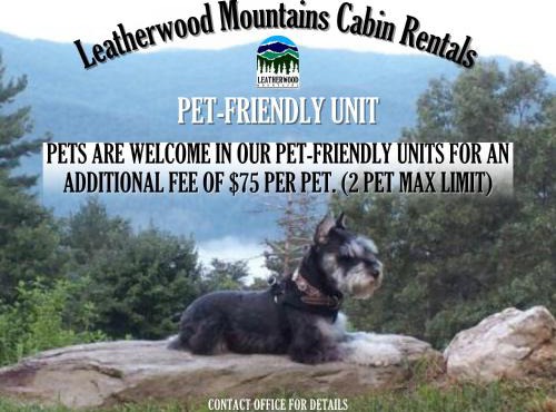 The Last Resort by Leatherwood Mountains Resort
