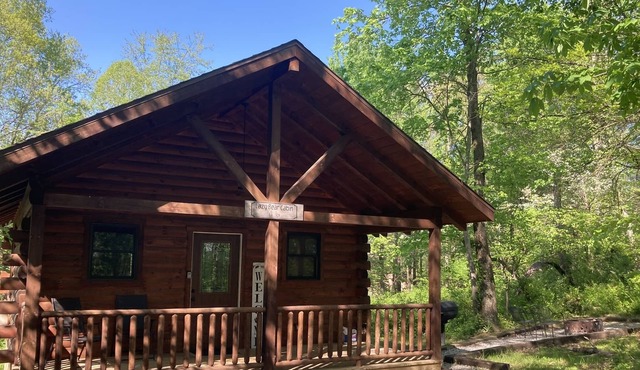 The Lazy Bear at Lake Logan Hilltop
